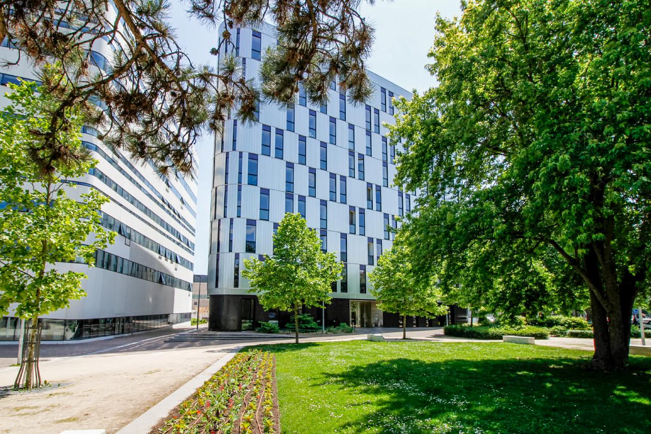 Location Bureau Dijon OLBUR2530950