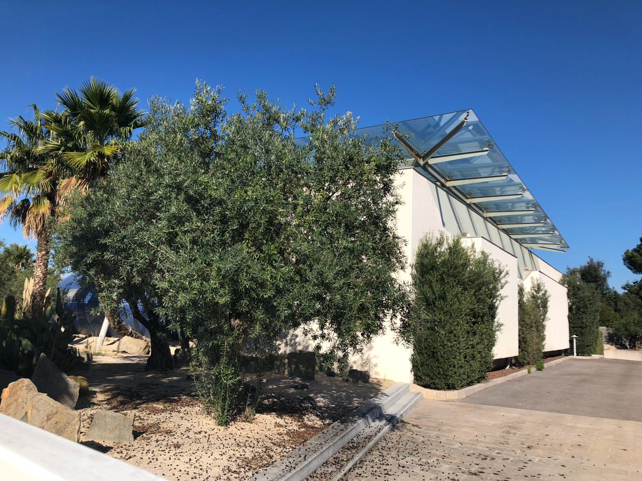 Location Bureau Mauguio Hérault OLBUR2428433