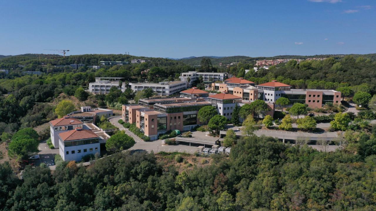 Bureau Biot 334.63m² Vente Bureau Biot AOVBUR2421491_2