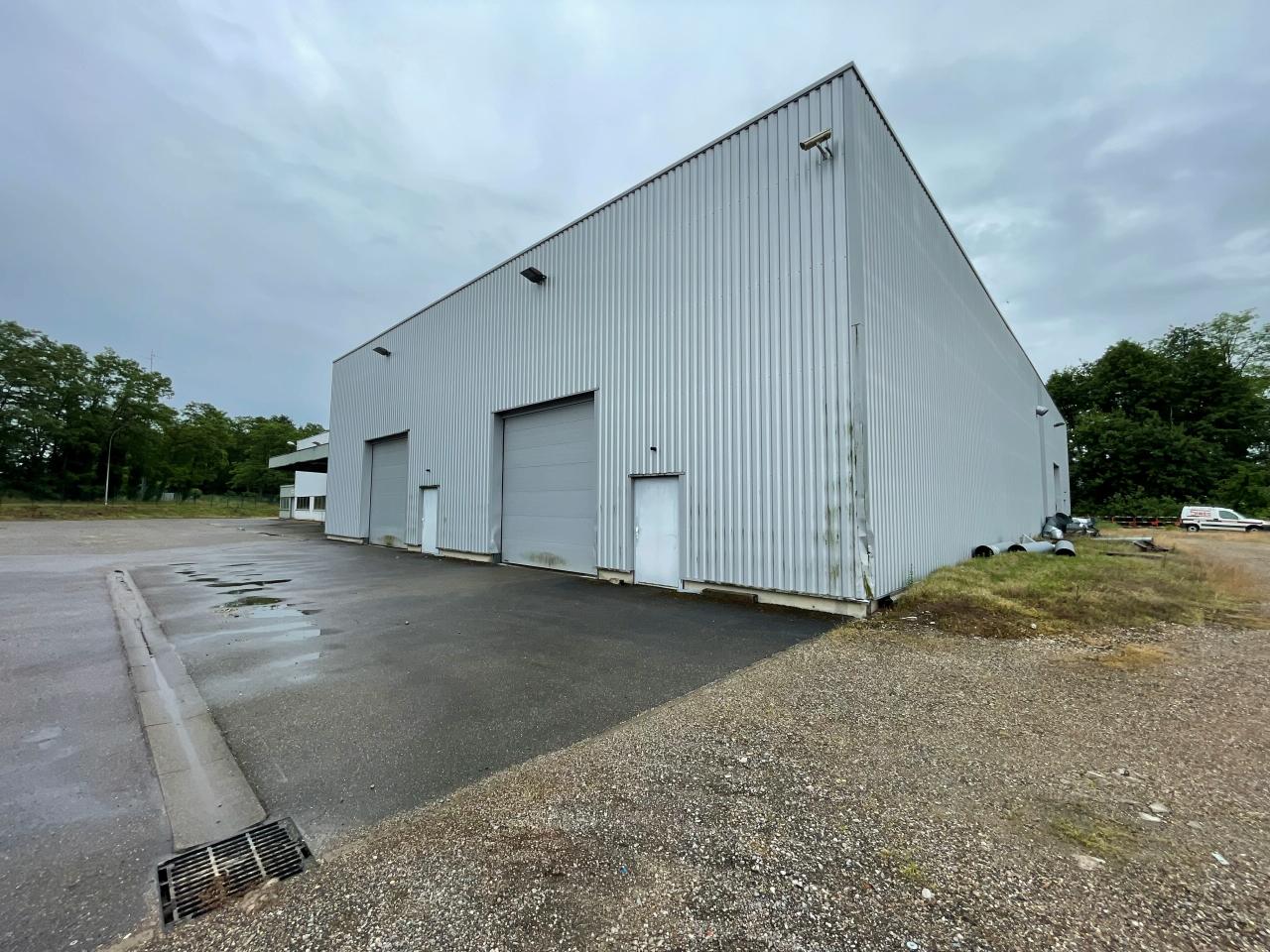 Vente Local d'activité Bischwiller OVACT2533127