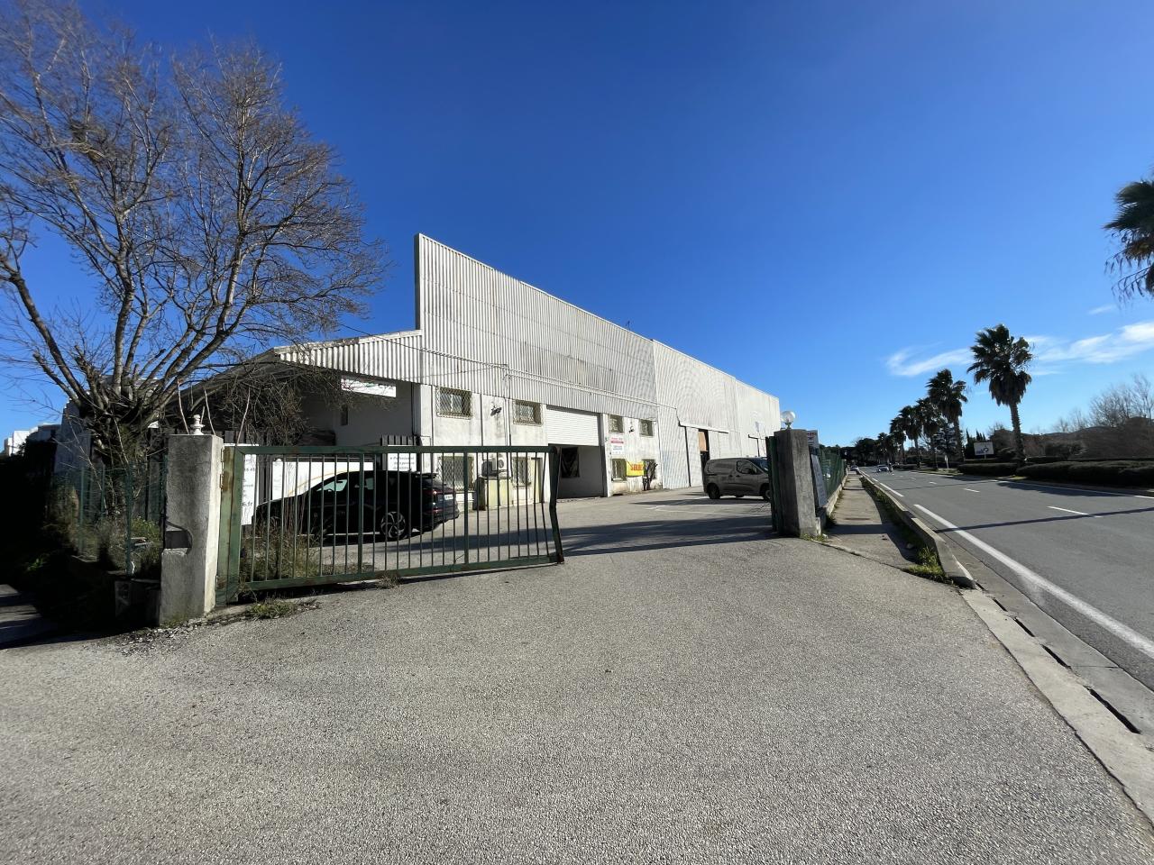 Location Local d'activité Mandelieu-la-Napoule OLACT2639245