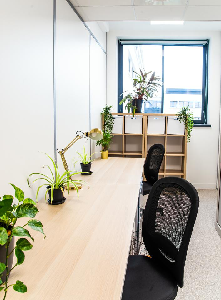 Location Coworking Villeurbanne OLBUR2110615