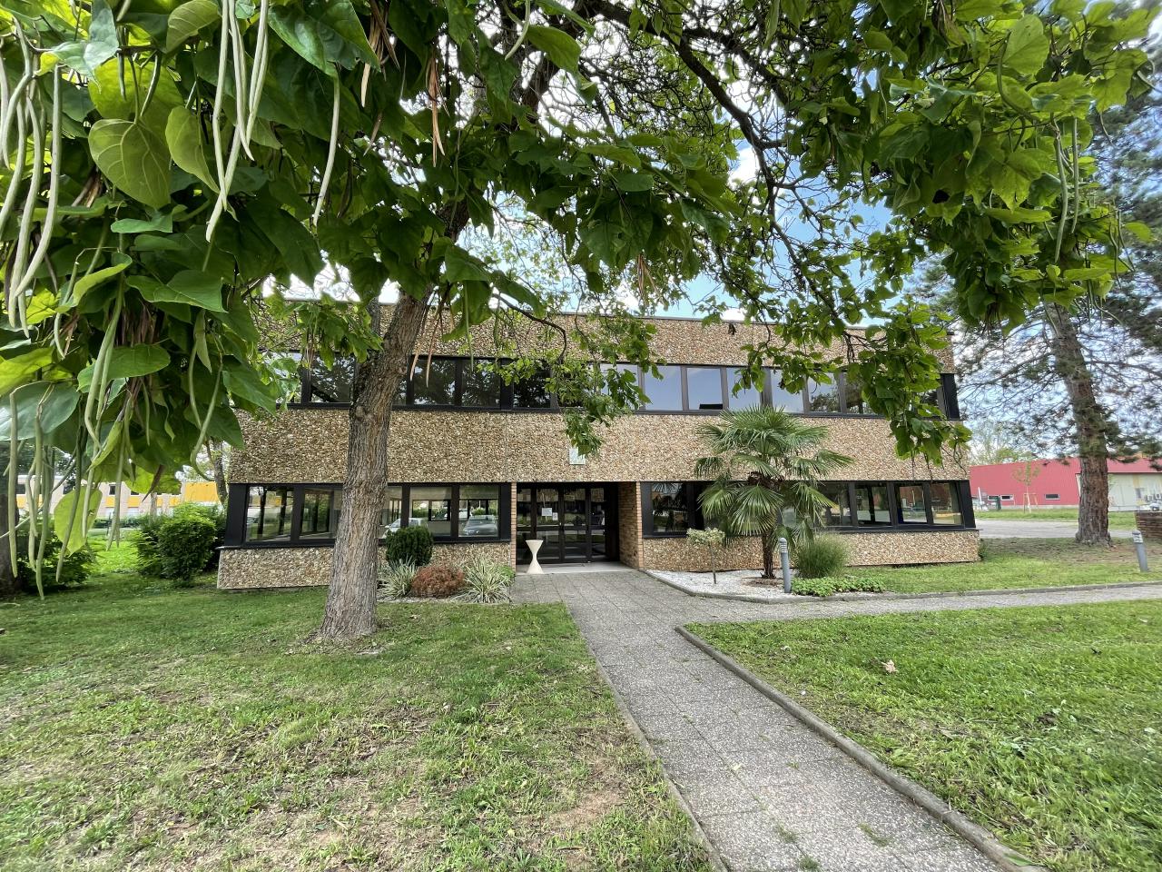 Location Bureau Lingolsheim OLBUR2111283