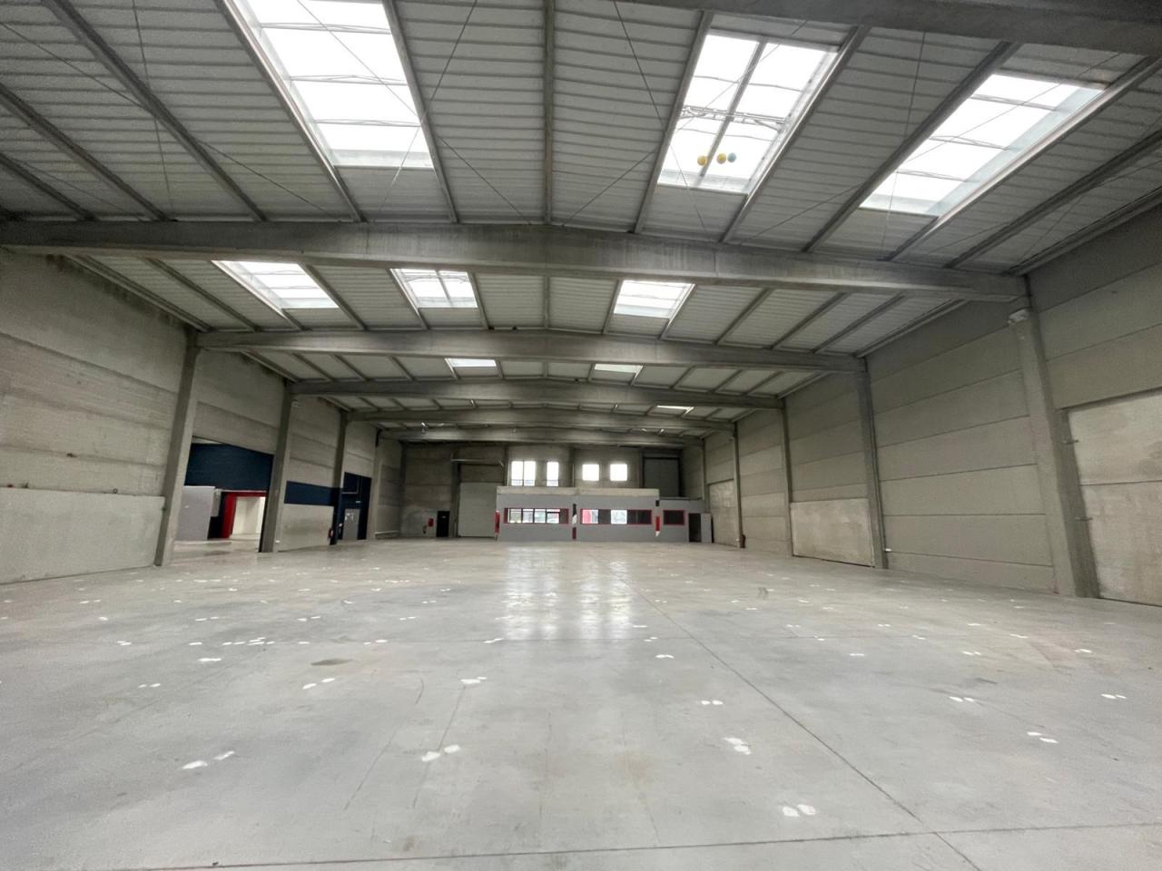 Location Local d'activité Hallennes-lez-Haubourdin OLACT2534816