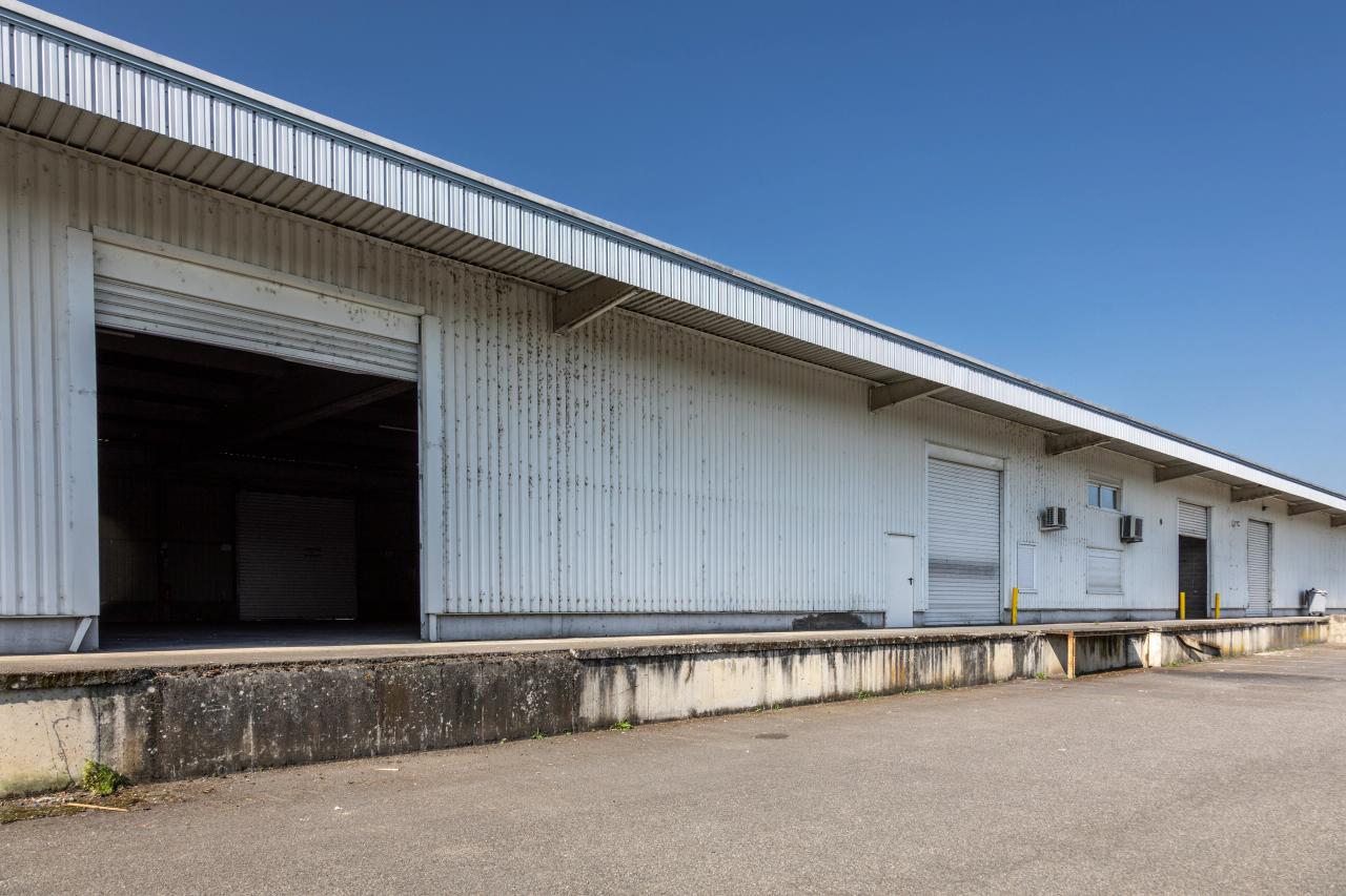 Location Local d'activité Portet-sur-Garonne OLACT2533375