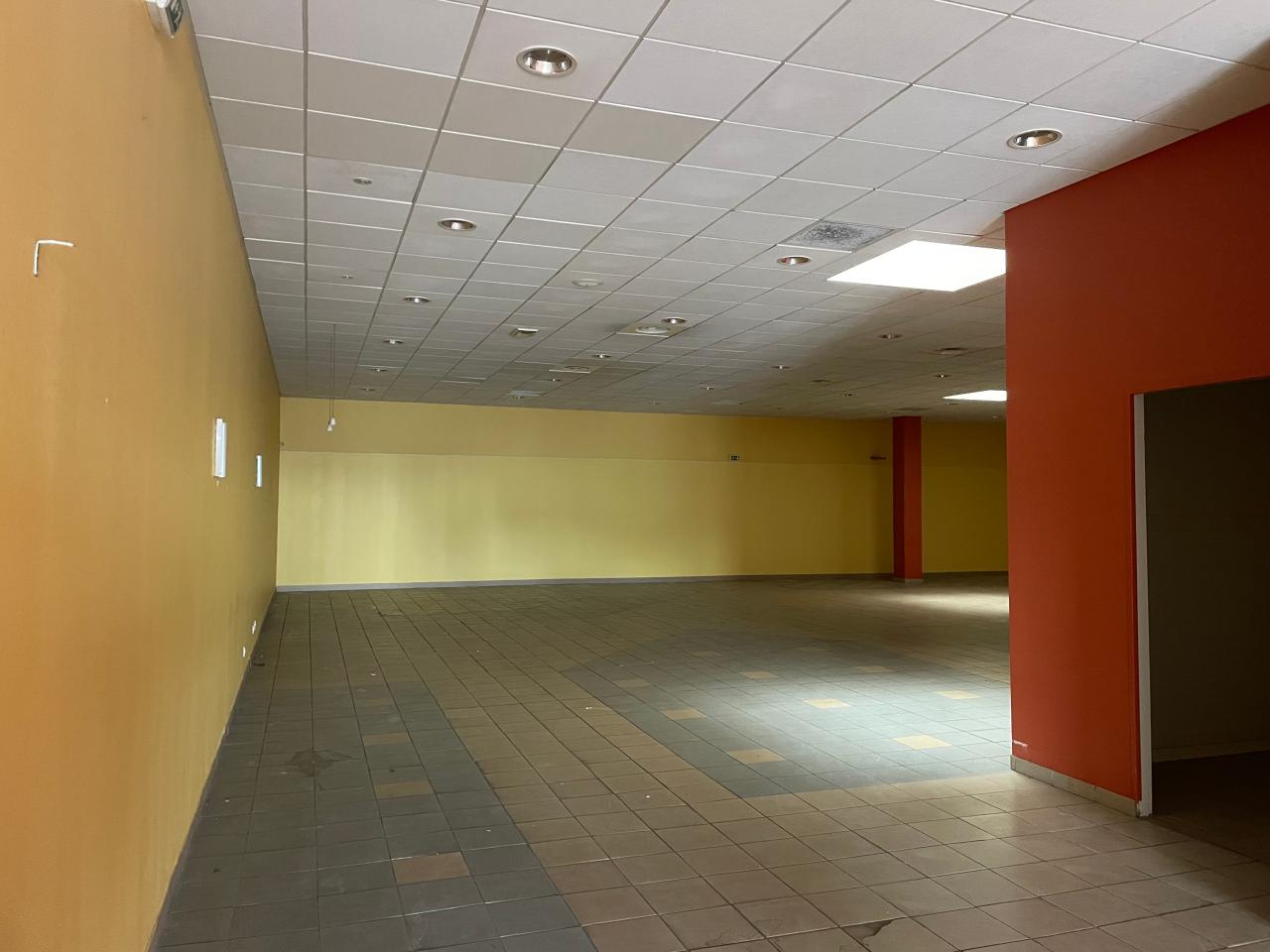 Location Local d'activité Saint-Jean-de-la-Ruelle OLACT2537496