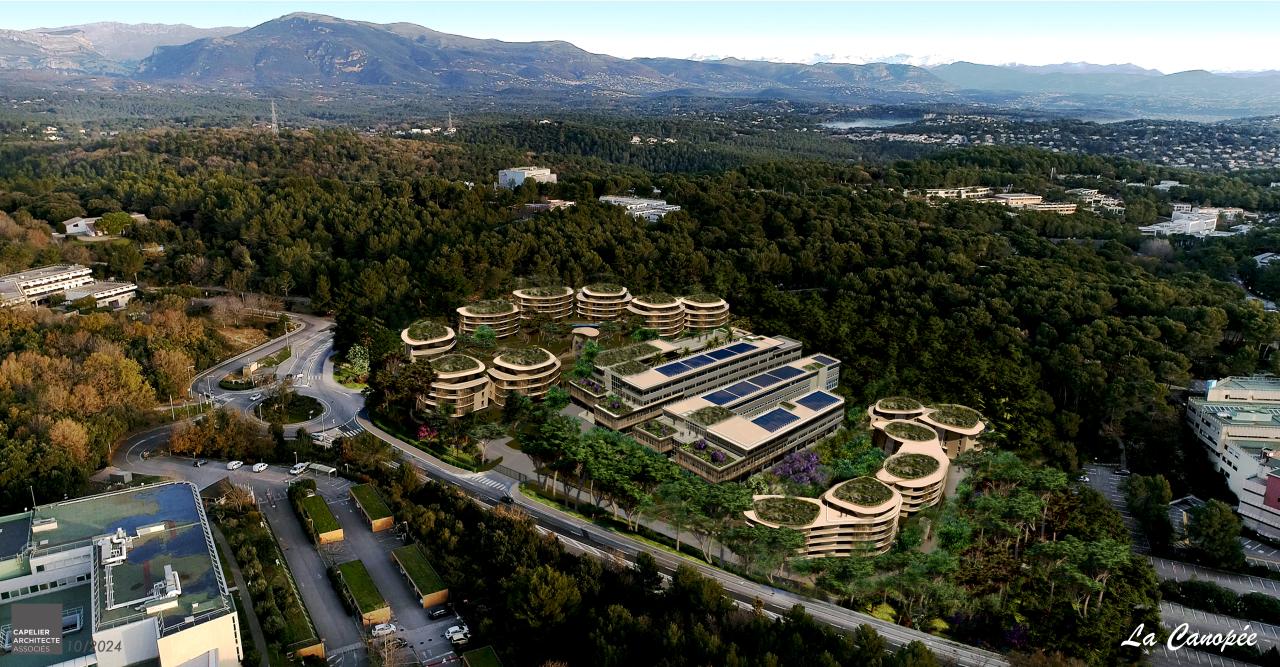 Location Bureau Sophia Antipolis OLBUR2115914