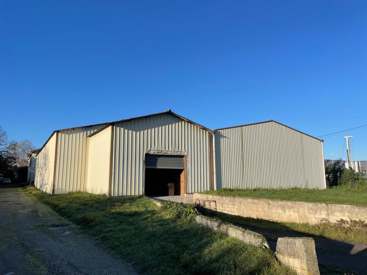 Vente Local d'activité Saint-Jory OVACT2428242