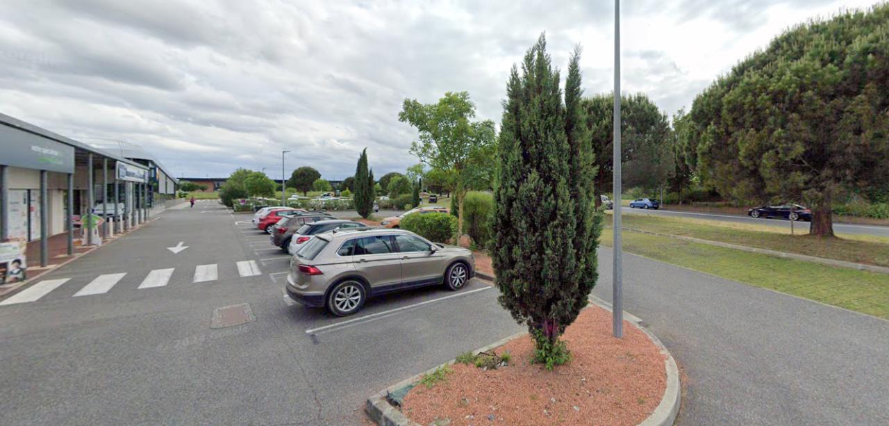 Location Commerce Castanet-Tolosan OLCOM2537657